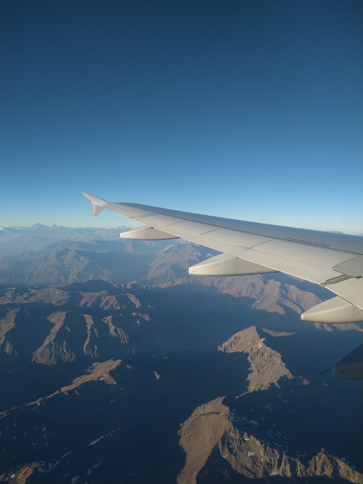 Exploring Top 5 Pet Food Plant